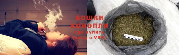 трава Аркадак