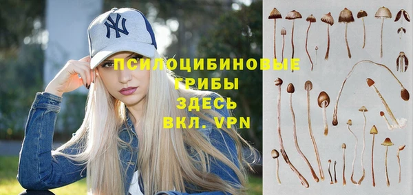 меф Арсеньев
