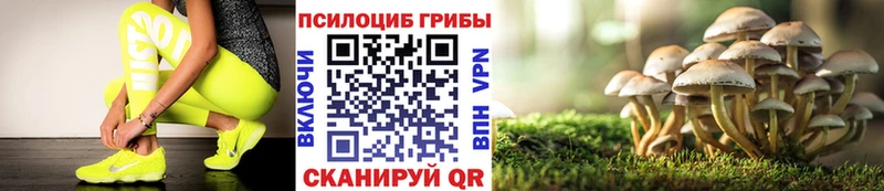 Галлюциногенные грибы прущие грибы где можно купить Исилькуль